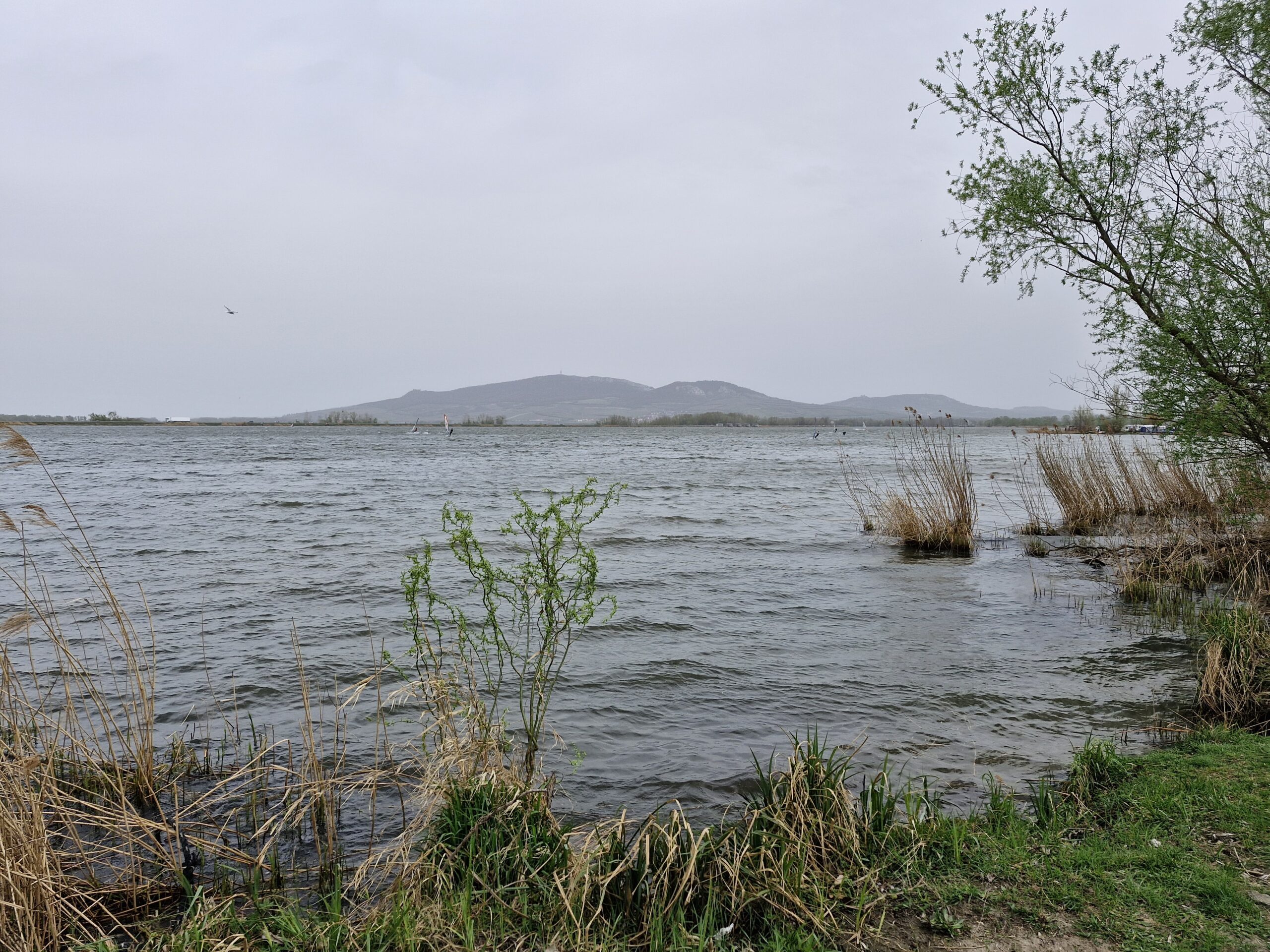 ATC Merkur Pasohlávky – Březen 2024